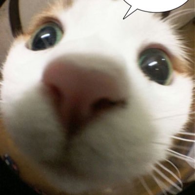 밀크티's profile picture