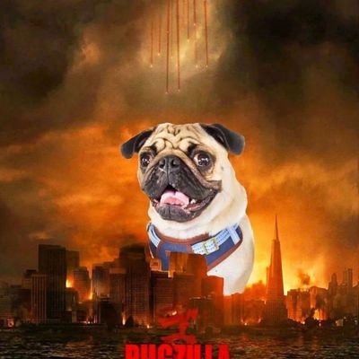 IgPug99508's profile picture