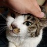 オーちゃん's profile picture