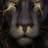 NASSER's profile picture