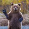 Rizzly Bear 的头像