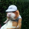 Profilbild von MrZozi