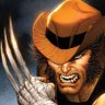 Wolverine 的头像