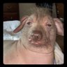 Profilbild von ClintAffirmative