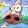 Brandon's profile picture