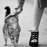 Byggmester Solness♀️👠 的头像