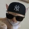 Profilbild von Si