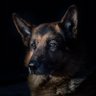 EpluribusX's profile picture