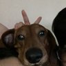 gbt's profile picture