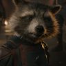 Rocket Raccoonfan's profile picture