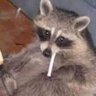 Profilbild von trashito308