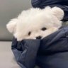 Tarcy's profile picture