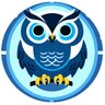 Owlingo 的头像
