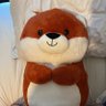 squishy animal's profile picture