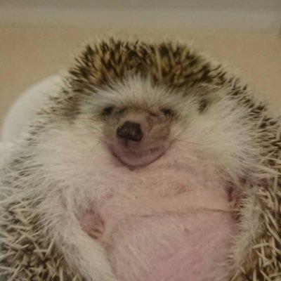 siu___man's profile picture