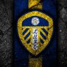 Ramón LUFC 🇨🇴 💙💛🏆's profile picture