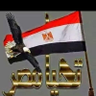 عبد العزيز الشابورى's profile picture