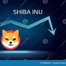Фото профиля SHIB IS A SCAM !