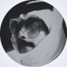 صاهــود 🇸🇦 profil fotoğrafı