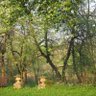 Фото профиля Вадим