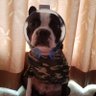 ソルト profil fotoğrafı