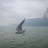 Profilbild von 哥不是药神(V:17771207324)