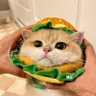 summertree's profile picture