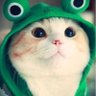 Фото профиля Crypto newbie