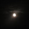 お月様's profile picture