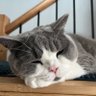 Profilbild von Jerry