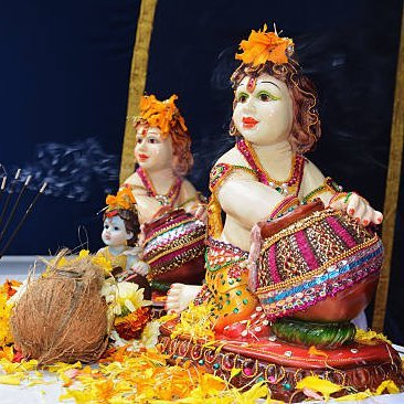 thegauravjaat's profile picture