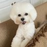 Janet Shields's profile picture