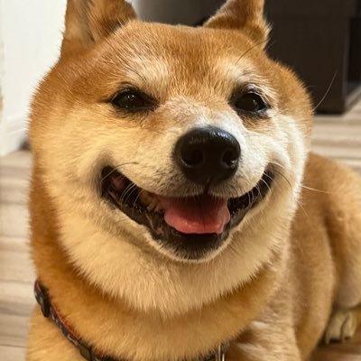 0ybCh5Rm6NCiZu1's profile picture