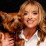 Shari Sebuck's profile picture
