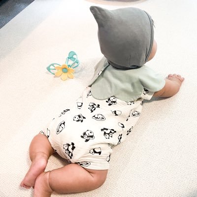 ソフィア🍼子育てと物欲's profile picture