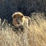 Azem Lorac profil fotoğrafı