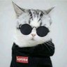 TypëiT's profile picture