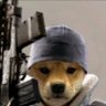 yung cricket profil fotoğrafı