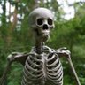 Profilbild von Gavin