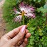 vaidehi's profile picture
