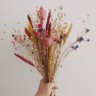 Flors i violes profil fotoğrafı