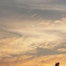 ᘔᗴYᑎᗩ☀️ profil fotoğrafı