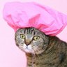 Njnjnj's profile picture