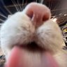 Profilbild von Dalunxs