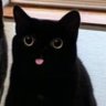 Profilbild von Alex N