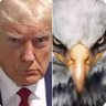 🇺🇸🇺🇸Patriot Girl 🇺🇸🇺🇸 的头像