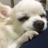 hiro's profile picture