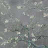 海陆空's profile picture