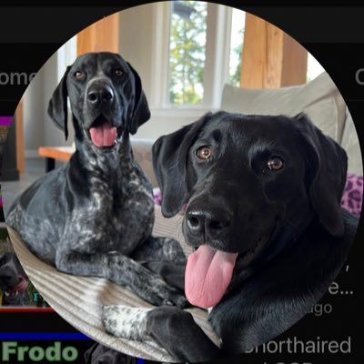 Frodo N Boots's profile picture