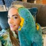 Amy Brennan's profile picture